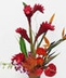 Tropical Designs