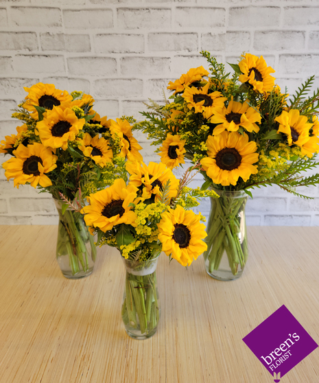 SIMPLY SUNFLOWERS