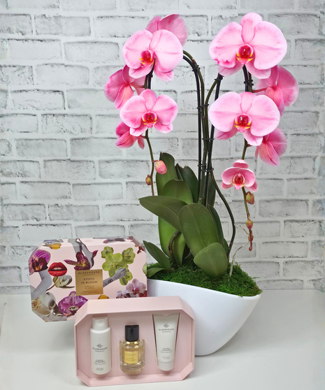 Orchid and Glasshouse Kyoto Gift Set