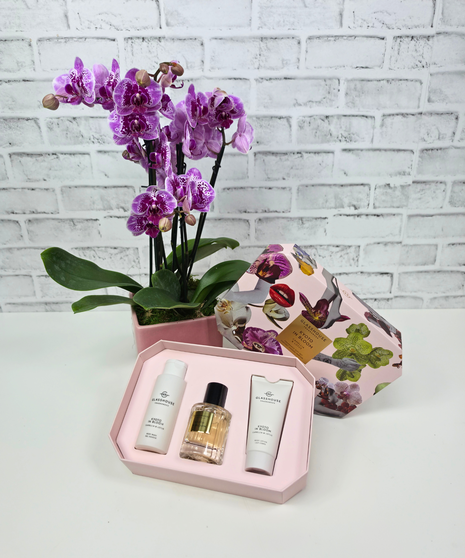 Orchid and Glasshouse Kyoto Gift Set