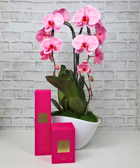 Orchid and Glasshouse Rendezvous Gift Set