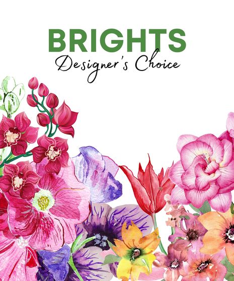 Designer's Choice - Bright Colors