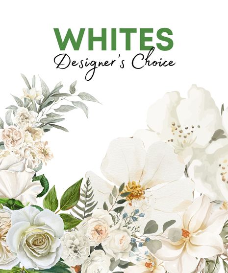 Designer's Choice - Classic Whites