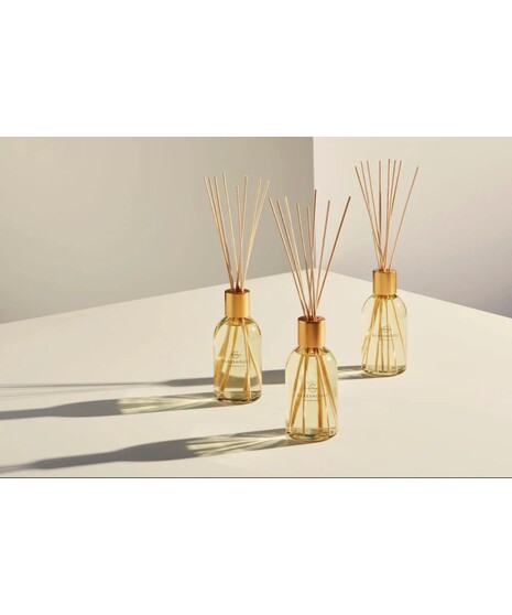 Glasshouse Diffuser