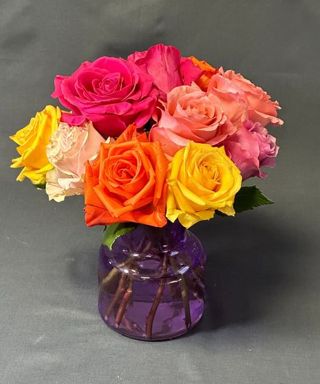 CIRCUS ROSES