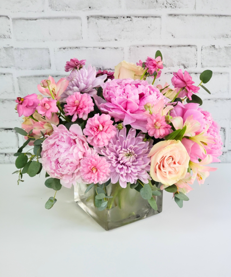 Blush and Bloom