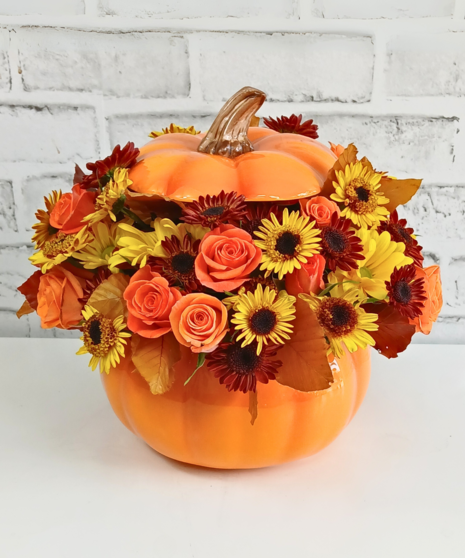 Harvest Pumpkin