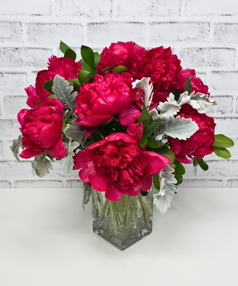 Peony Supreme