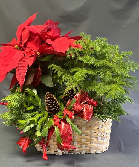 Holiday Planter