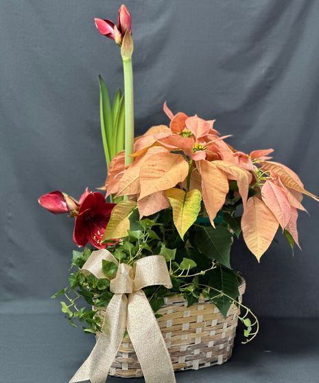 Premium Holiday Planter